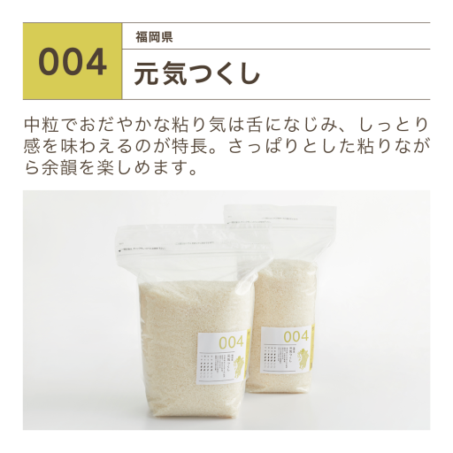 元気つくし30kg 白川米 玄米 令和元年産 - 食品