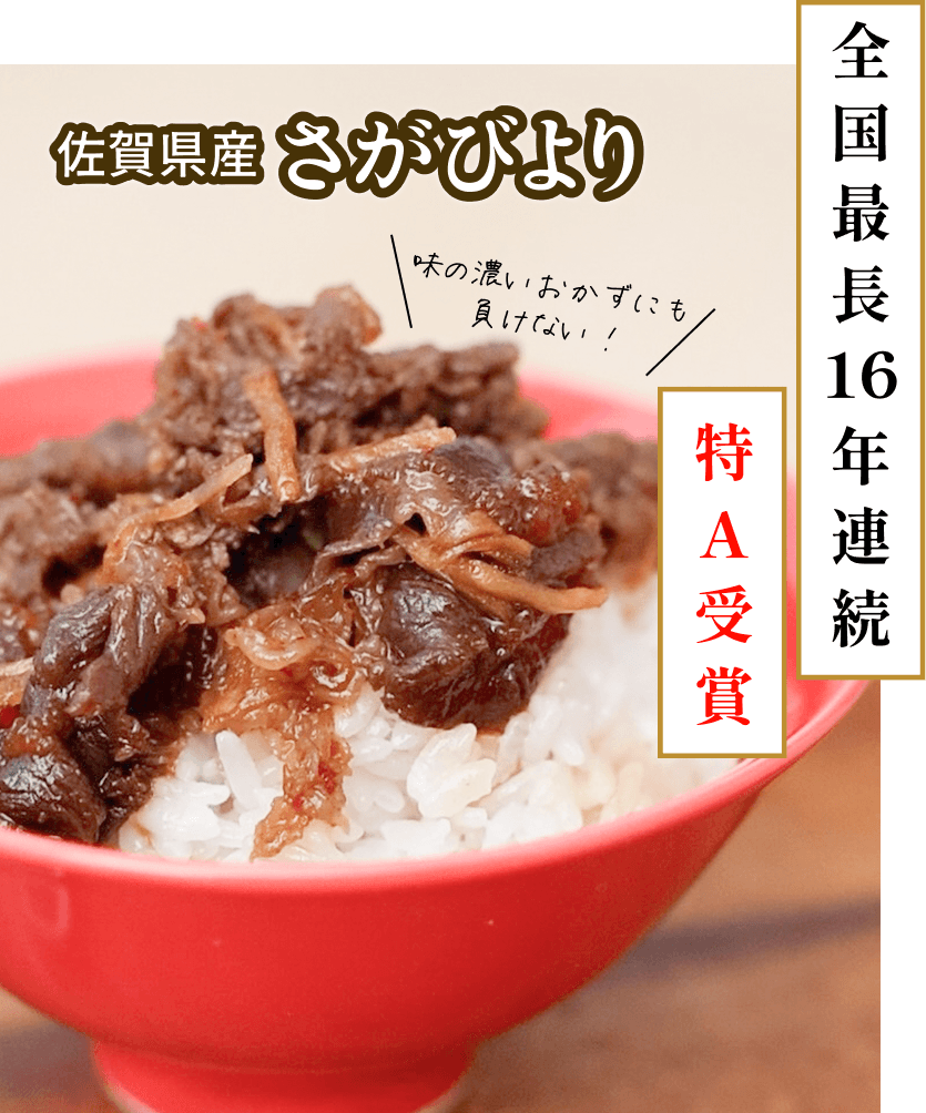 佐賀県産 さがびより