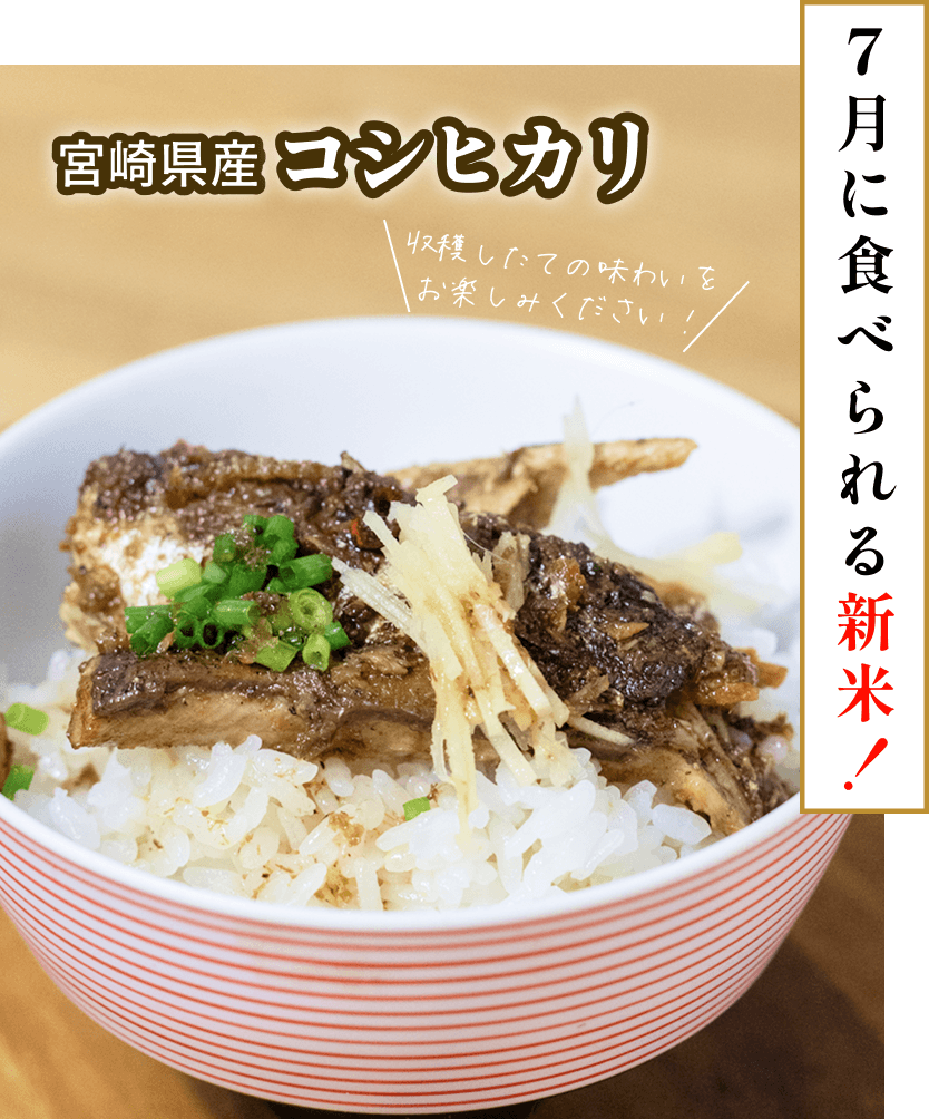 宮崎県産 コシヒカリ