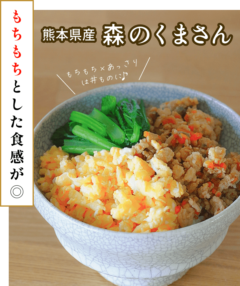 熊本県産 森のくまさん