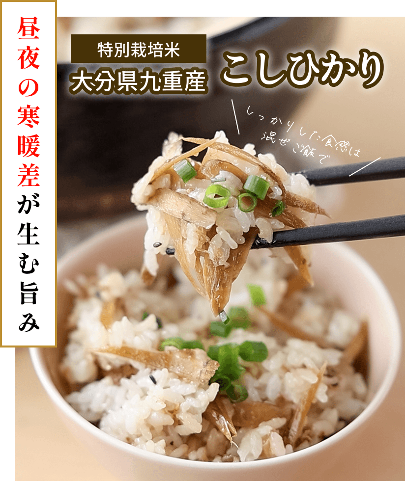 特別栽培米 大分県九重産 こしひかり