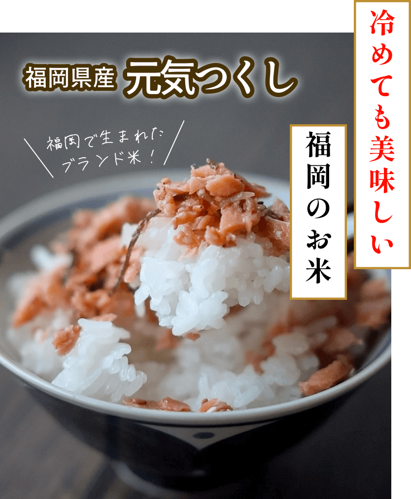 福岡県産 元気つくし
