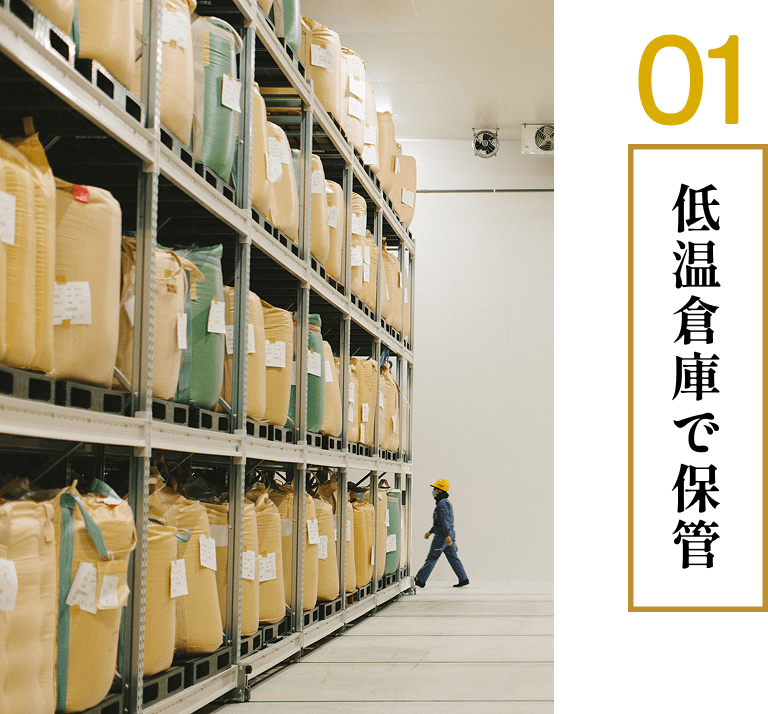 低温倉庫で保管