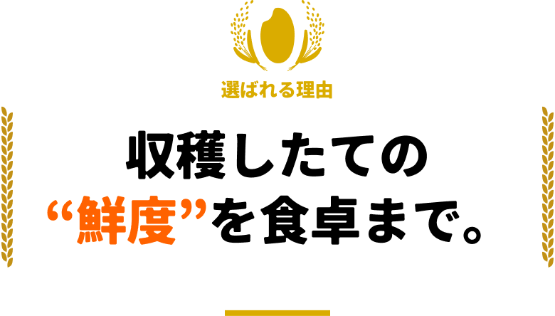 収穫したての”鮮度”を食卓まで。